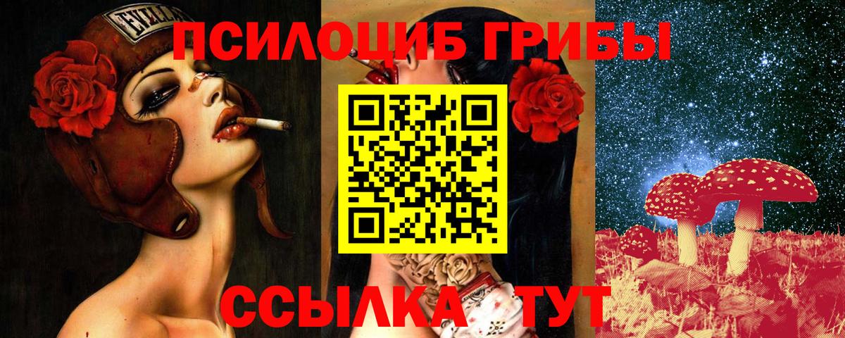 Галлюциногенные грибы прущие грибы Тара